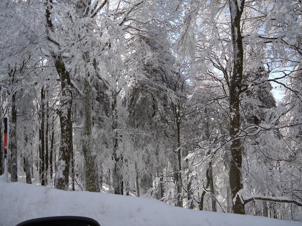Berghotel Schiller Schonach im Schwarzwald Bagian luar foto