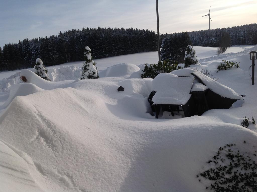 Berghotel Schiller Schonach im Schwarzwald Bagian luar foto