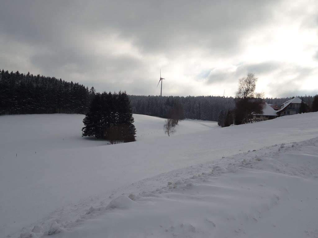 Berghotel Schiller Schonach im Schwarzwald Bagian luar foto